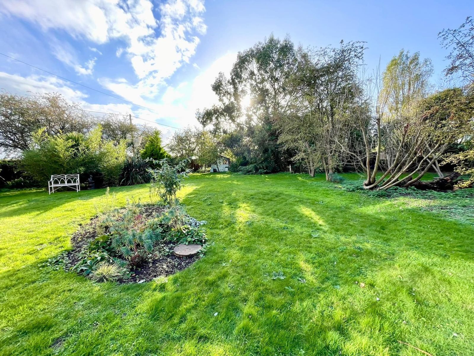 A wide sunny lawn with a round flower bed, trees and shrubs, and a white bench at the far side