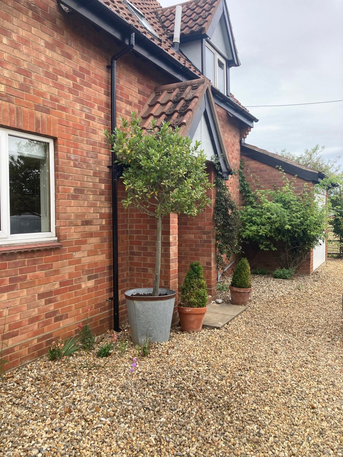 The side of the red-brick house with a gravel path, a hanging basket and potted plants