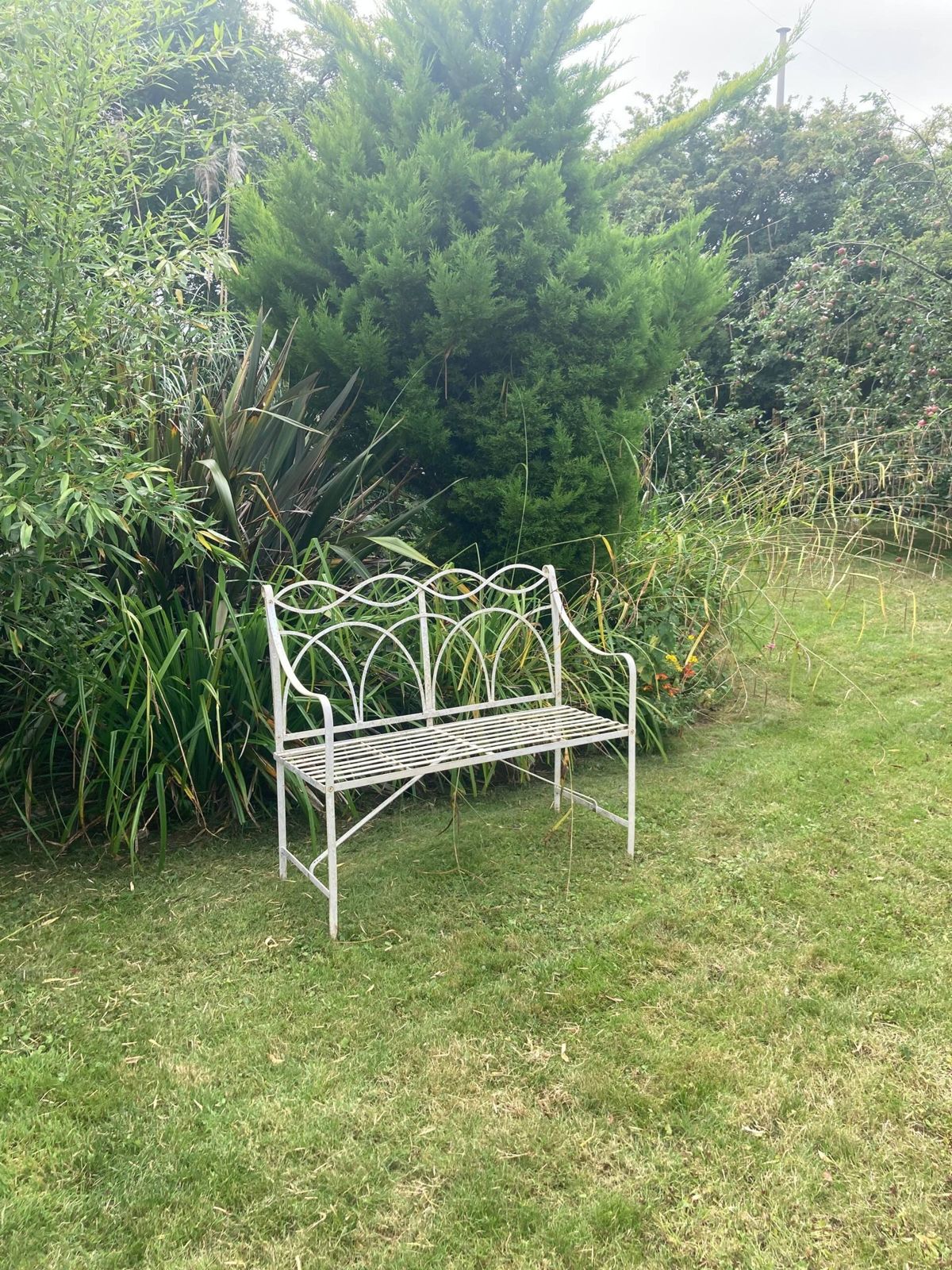 A white metal garden bench on the lawn in front of tall shrubs and trees